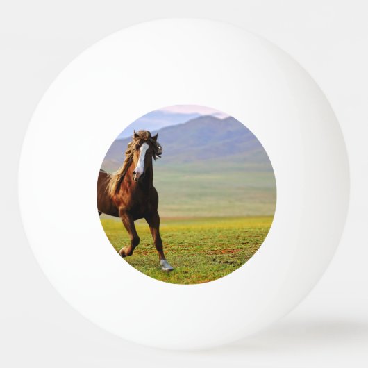 Pferd Tischtennisball (Vorderseite)