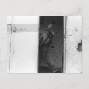 Pferd tragen postkarte