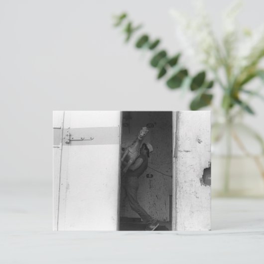 Pferd tragen postkarte (Stehend Vorderseite)