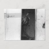 Pferd tragen postkarte (Vorderseite)