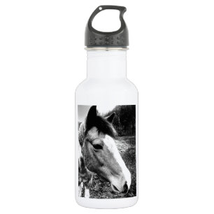 Pferd Trinkflasche