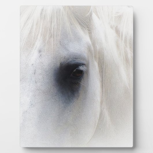 Pferd u. Blumen Fotoplatte (Vorderseite)