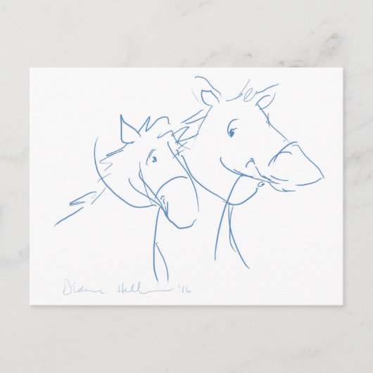 Pferd um die Sitzkarte Postkarte (Vorderseite)