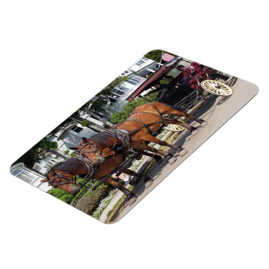 Pferd und Beförderung auf der Insel Mackinac MI Magnet (Linke Seite)