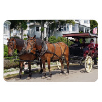 Pferd und Beförderung auf der Insel Mackinac MI