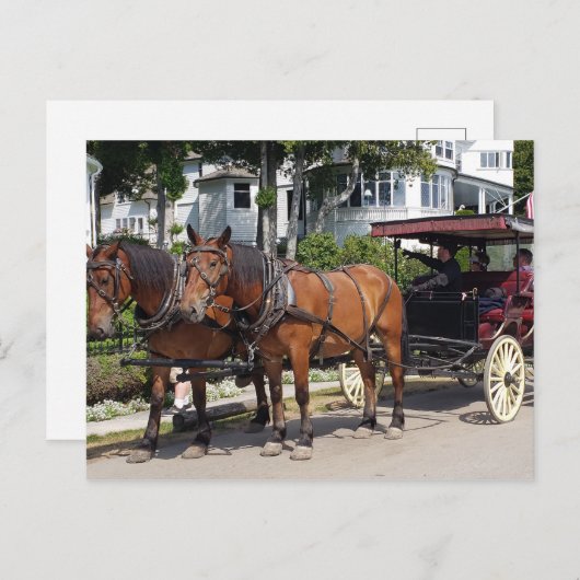 Pferd und Beförderung auf der Insel Mackinac MI Postkarte (Vorne/Hinten)