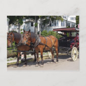 Pferd und Beförderung auf der Insel Mackinac MI Postkarte (Vorderseite)