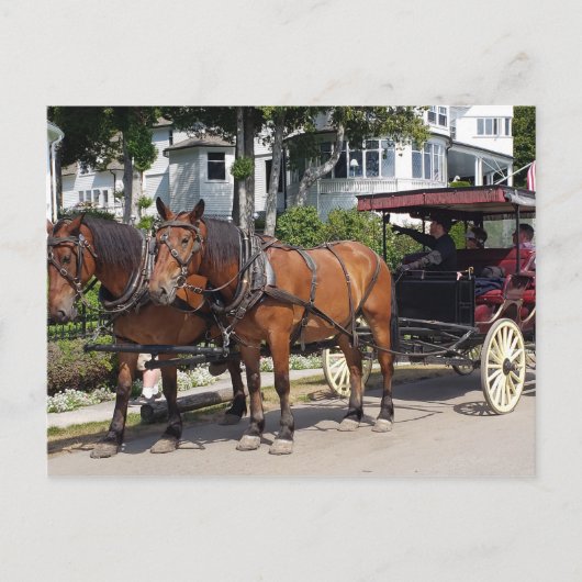 Pferd und Beförderung auf der Insel Mackinac MI Postkarte (Vorderseite)