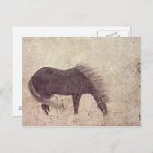 Pferd und Bräuche im Winter Postkarte (Vorne/Hinten)