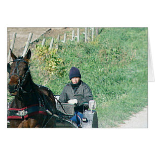Pferd und Buggy