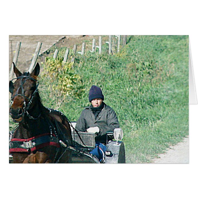 Pferd und Buggy (Vorderseite (Horizontal))