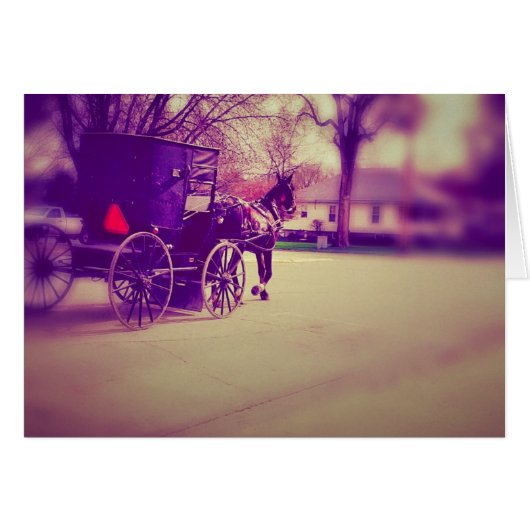 Pferd und Buggy (Vorderseite (Horizontal))