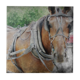 Pferd und Buggy Fliese