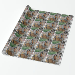 Pferd und Buggy Geschenkpapier