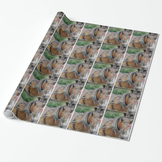 Pferd und Buggy Geschenkpapier (Ungerollt)