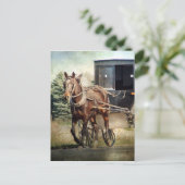 Pferd und Buggy im ländlichen Iowa Postkarte (Stehend Vorderseite)