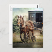 Pferd und Buggy im ländlichen Iowa Postkarte (Vorne/Hinten)