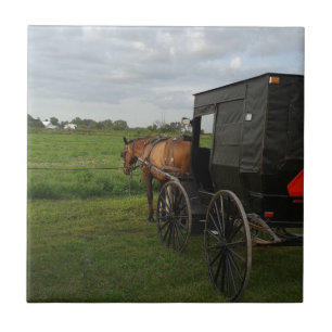 Pferd und Buggy im Sonnenuntergang Fliese