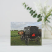 Pferd und Buggy im Sonnenuntergang Postkarte (Stehend Vorderseite)