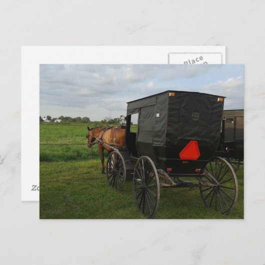 Pferd und Buggy im Sonnenuntergang Postkarte (Vorne/Hinten)