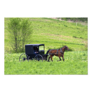 Pferd und Buggy in der Nähe von Berlin, Ohio. Fotodruck