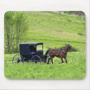 Pferd und Buggy in der Nähe von Berlin, Ohio. Mousepad