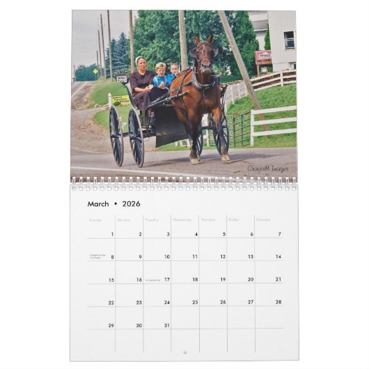 Pferd und Buggy Kalender (Mär 2026)