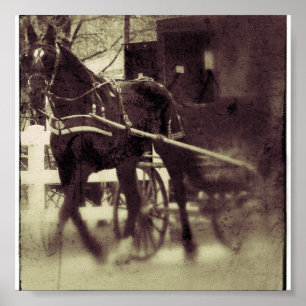 Pferd und Buggy Poster