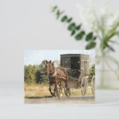 Pferd und Buggy Postkarte (Stehend Vorderseite)