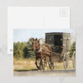 Pferd und Buggy Postkarte (Vorne/Hinten)