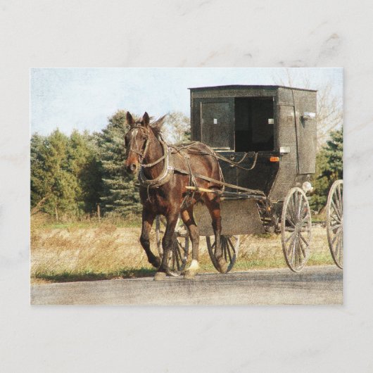 Pferd und Buggy Postkarte (Vorderseite)