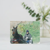 Pferd und Buggy Postkarte (Stehend Vorderseite)