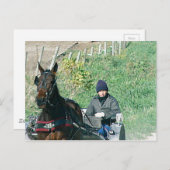 Pferd und Buggy Postkarte (Vorne/Hinten)