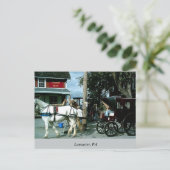 Pferd und Buggy Postkarte (Stehend Vorderseite)