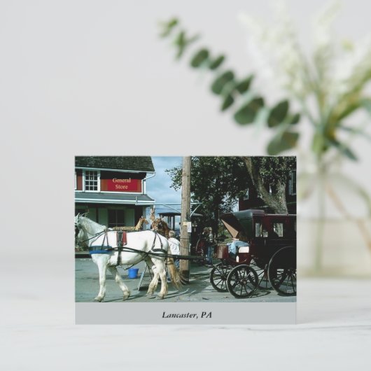Pferd und Buggy Postkarte (Stehend Vorderseite)