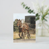 Pferd und Buggy Postkarte (Stehend Vorderseite)