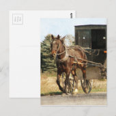 Pferd und Buggy Postkarte (Vorne/Hinten)