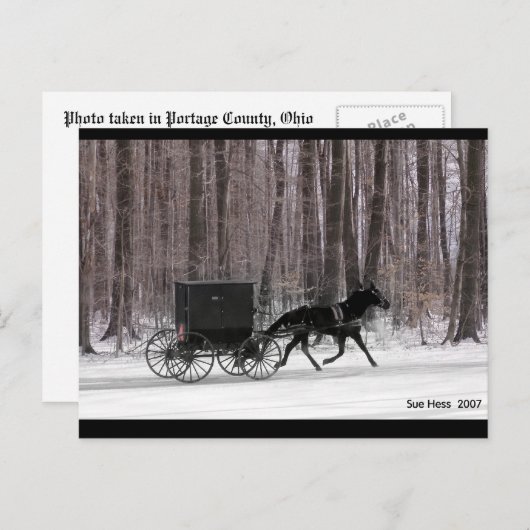 Pferd und Buggy Postkarte (Vorne/Hinten)