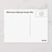 Pferd und Buggy Postkarte (Rückseite)