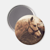 Pferd und Bus Magnet (Vorderseite/Rückseite)