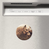 Pferd und Bus Magnet (In Situ (Geschirrspüler))