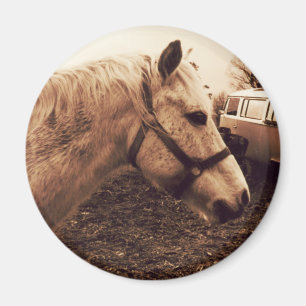 Pferd und Bus Magnet