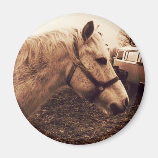 Pferd und Bus Magnet (Vorne)