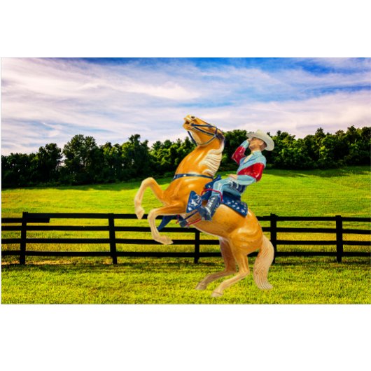 Pferd und Cowboy T-Shirt