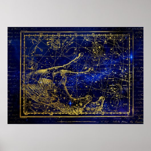 Pferd und Delfin Sternbild Poster (Vorne)