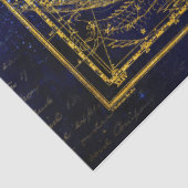 Pferd- und Delphinkonstellettenpapier Seidenpapier (Ausschnitt)