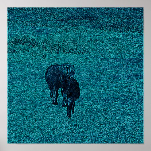 Pferd und Donkey Poster (Vorne)