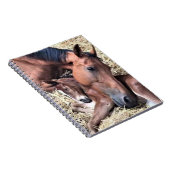 Pferd- und Foal-Spiral-Notebook Notizblock (Rechte Seite)
