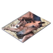 Pferd- und Foal-Spiral-Notebook Notizblock (Linke Seite)