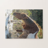 Pferd- und Foallaufnahmen Puzzle (Horizontal)